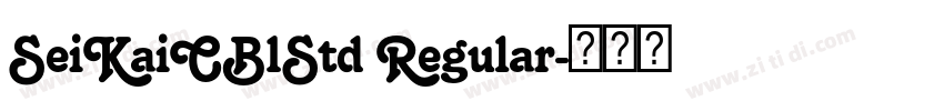 SeiKaiCB1Std Regular字体转换